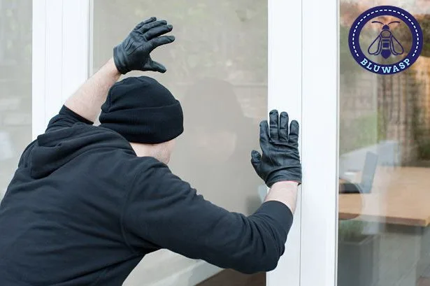 burglar casing a house up